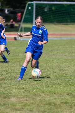 Bild 102 - wBJ VfL Pinneberg - Harksheide : Ergebnis: 2:1